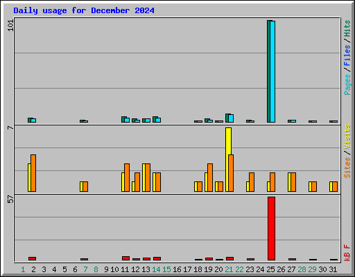 Daily usage for December 2024