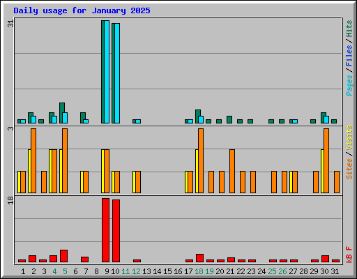 Daily usage for January 2025