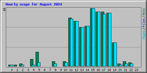 Hourly usage for August 2024