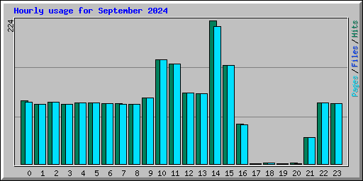 Hourly usage for September 2024