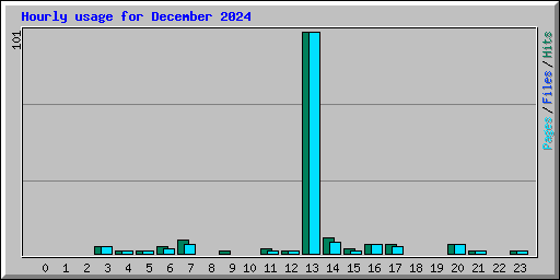 Hourly usage for December 2024