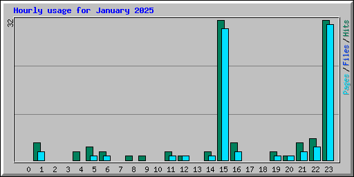 Hourly usage for January 2025