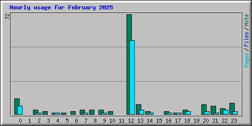 Hourly usage for February 2025