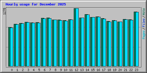Hourly usage for December 2025
