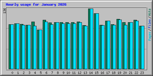 Hourly usage for January 2026